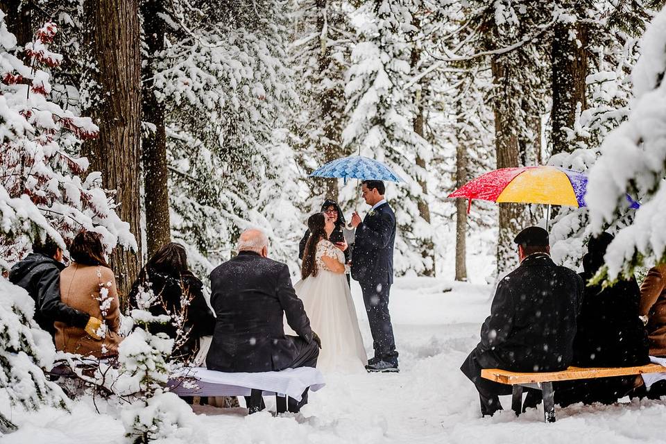 Wedding ceremony in snowy woodland setting