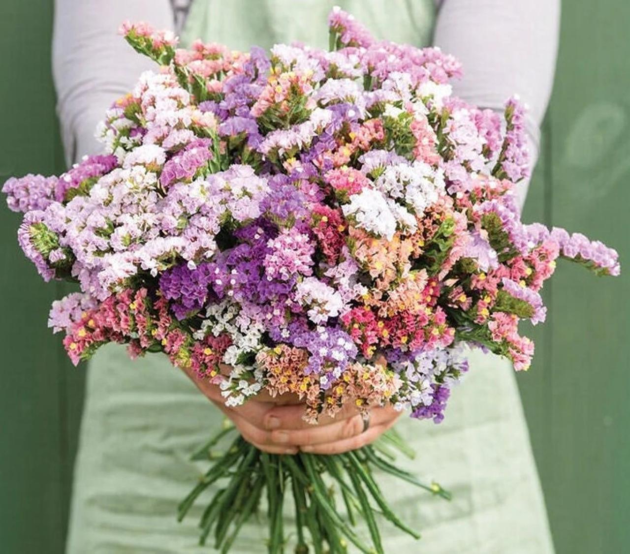 Statice flower bouquet