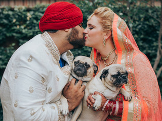 32 Photos That Prove Your Pet Should Be in Your Wedding