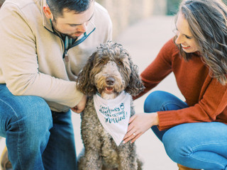 The Best Dog Breeds for Engaged Couples and Newlyweds