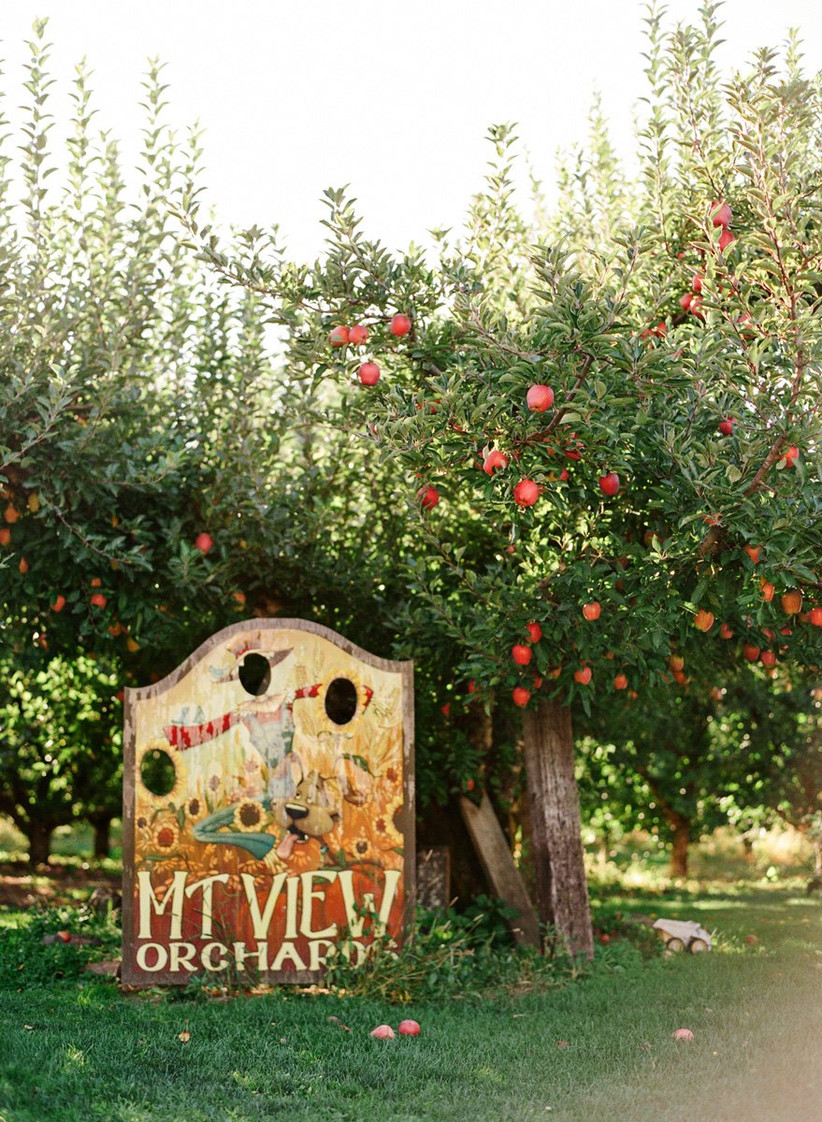 Mt. View Orchards Weddings