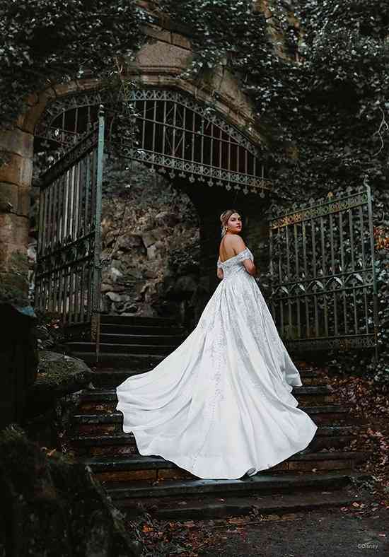 Cinderella Wedding Dress