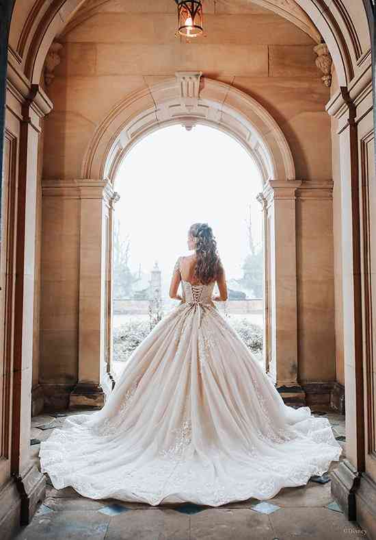 DP272 - Belle Ball Gown Wedding Dress by Disney Fairy Tale Weddings -  WeddingWire.com