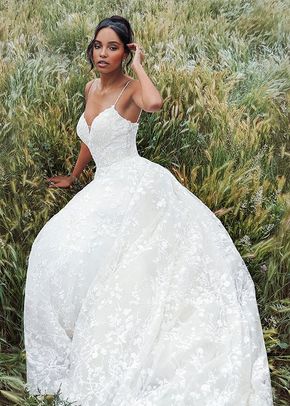 DP256 - Tiana, Disney Fairy Tale Weddings