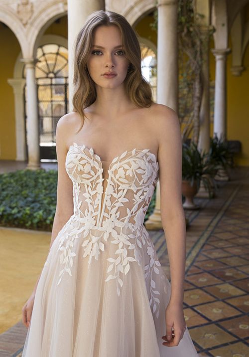 Paula A-line Wedding Dress by Blue by Enzoani - WeddingWire.com