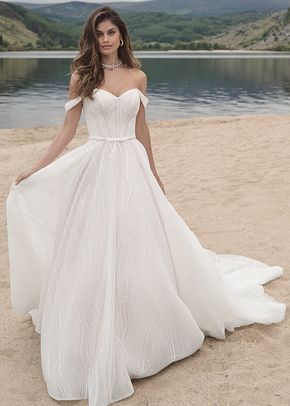 CHASE, Sottero & Midgley