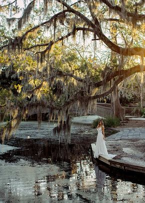 Evelyn, Wilderly Bride