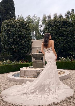 2552, Casablanca Bridal