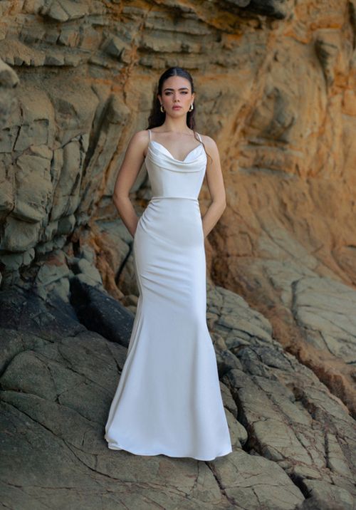 Rose- F349, Wilderly Bride