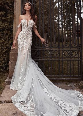 121101 Lilia, Calla Blanche