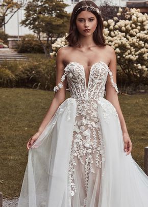 121101 Lilia, Calla Blanche