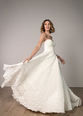 SY8059, Stella York