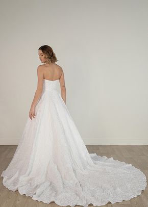 SY8059, Stella York