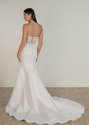 SY8081, Stella York