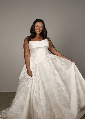 SY8084, Stella York