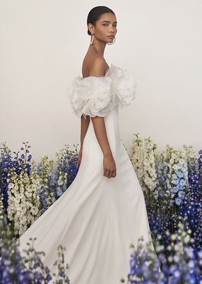TAYDEN, Rosa Clará