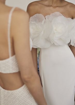 TAYDEN, Rosa Clará