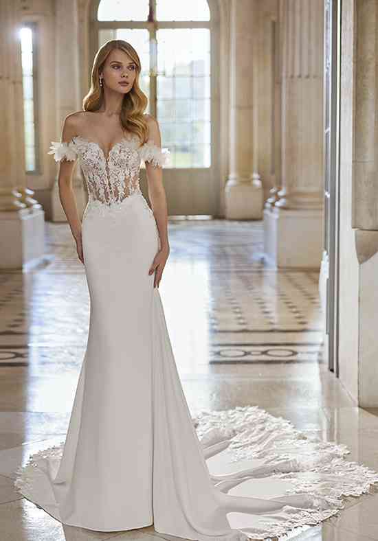 chinese dress ladies Rosa Clará Ember Lace & Tulle A-Line Princess Wedding Dress, US 22 main image 1