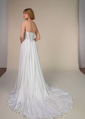 SHAYLA, All Who Wander