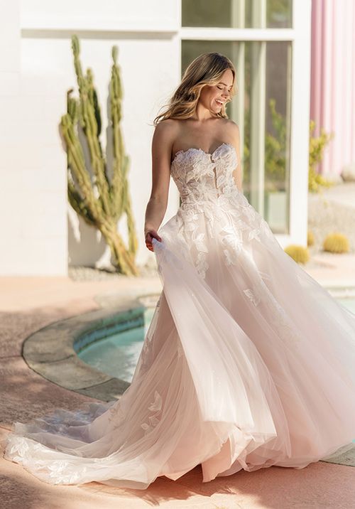 SY8166, Stella York