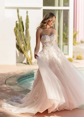 SY8166, Stella York