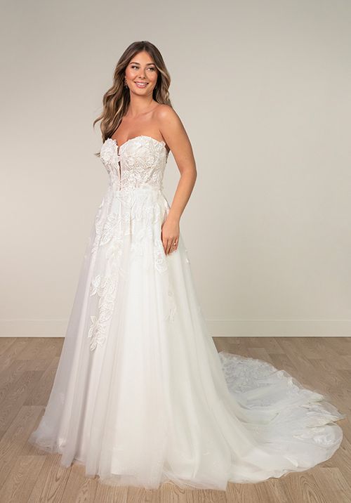 SY8166, Stella York