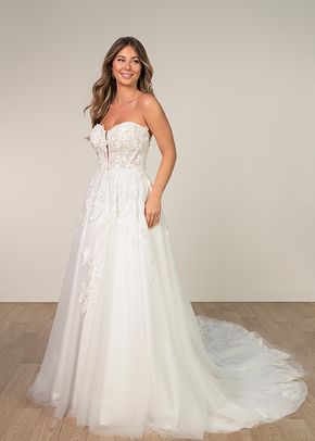 SY8166, Stella York