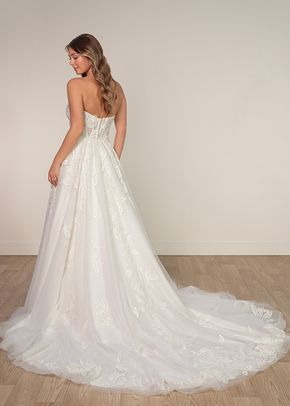 SY8166, Stella York