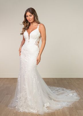 SY8168, Stella York