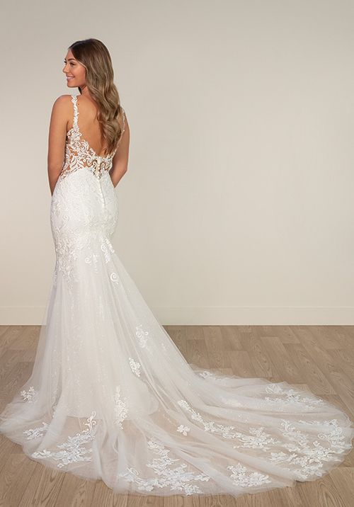 SY8168, Stella York