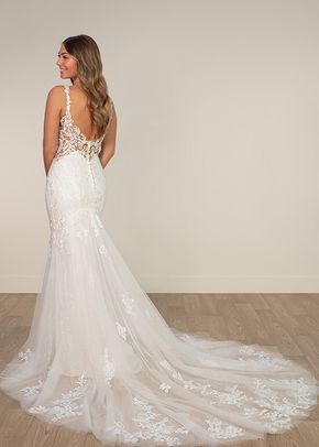 SY8168, Stella York