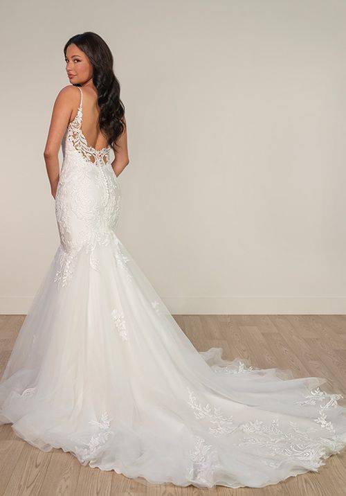 SY8172, Stella York