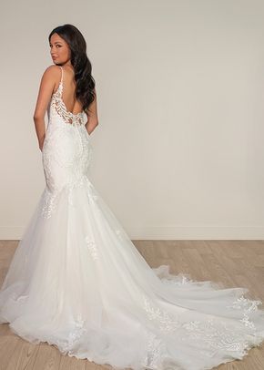 SY8172, Stella York