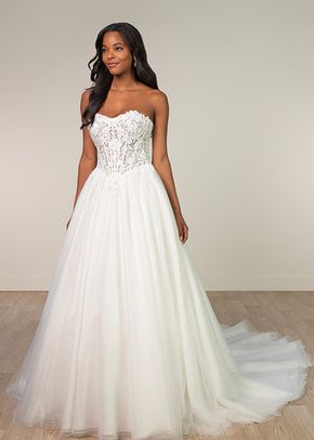 SY8181, Stella York