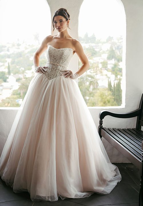 SY8189, Stella York