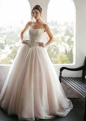 SY8189, Stella York