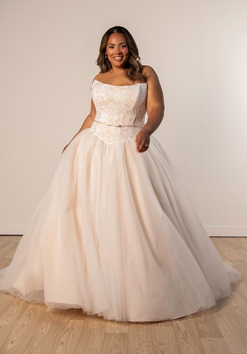 SY8189, Stella York