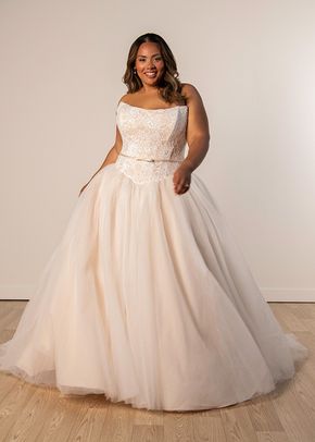 SY8189, Stella York