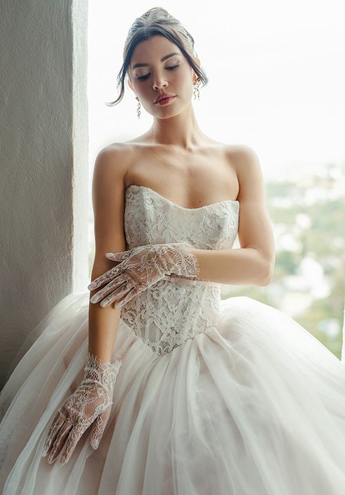 SY8189, Stella York