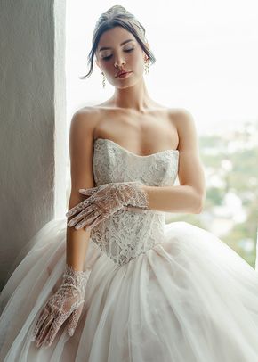 SY8189, Stella York
