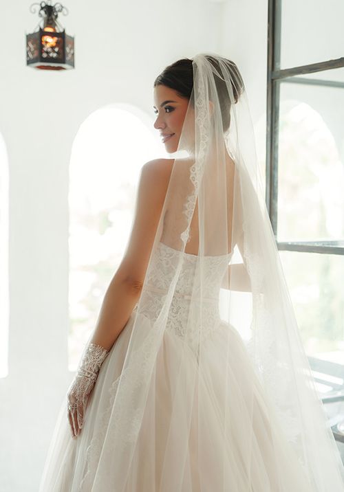 SY8189, Stella York