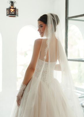 SY8189, Stella York