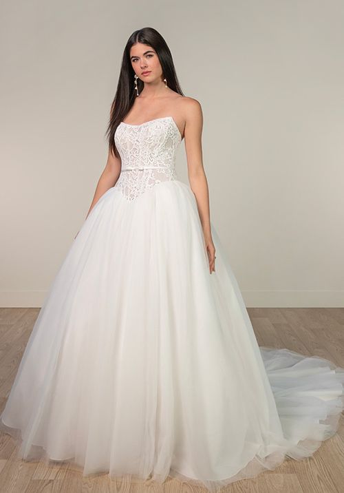 SY8189, Stella York