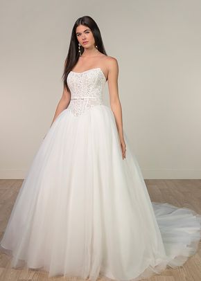 SY8189, Stella York