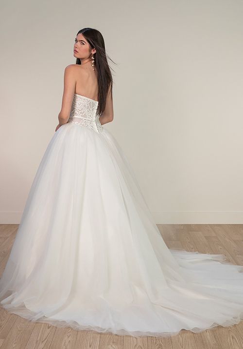 SY8189, Stella York