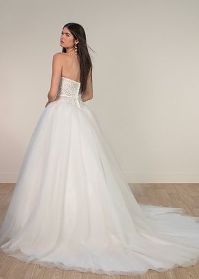 SY8189, Stella York