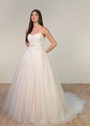 SY8189, Stella York