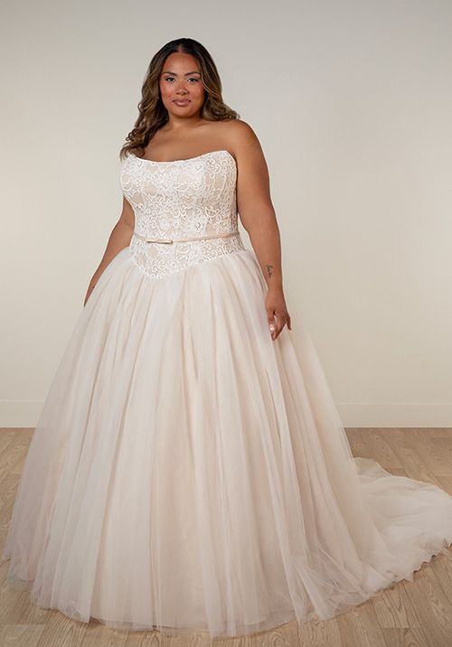 SY8189+, Stella York