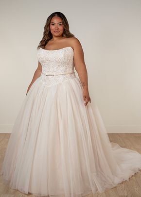 SY8189+, Stella York