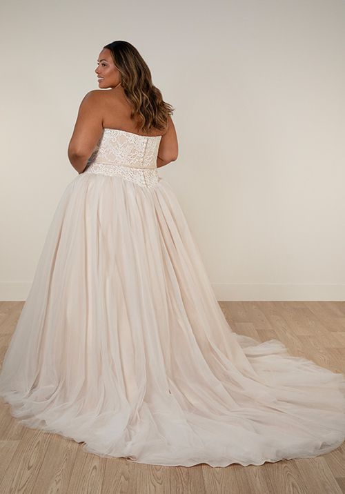 SY8189+, Stella York